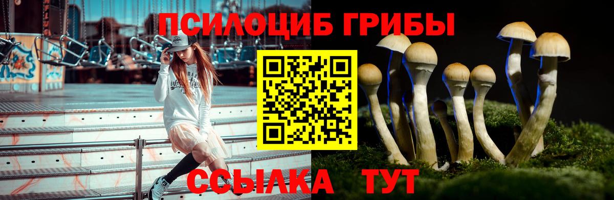 Хасавюрт  Псилоцибиновые грибы мицелий  Вход с VPN 