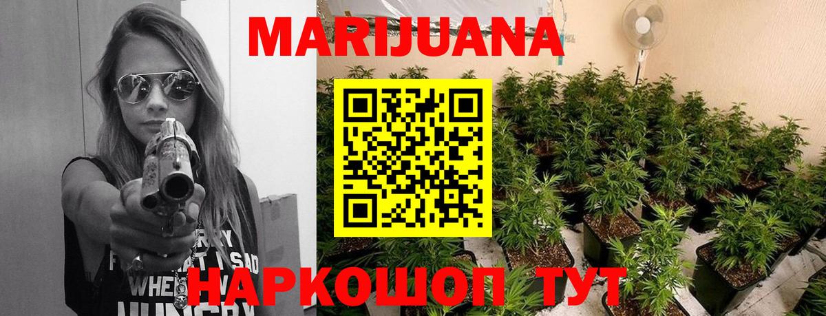 Бошки Шишки планчик Хасавюрт